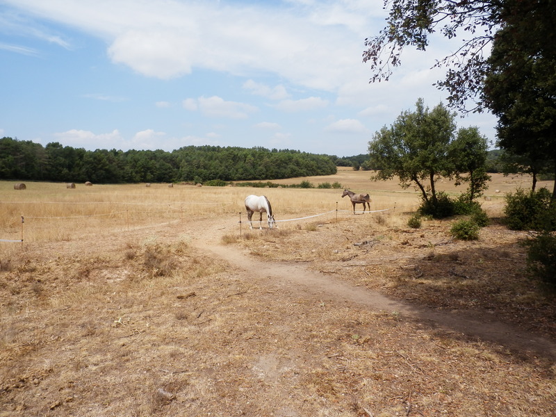 The Confluence from 30 m