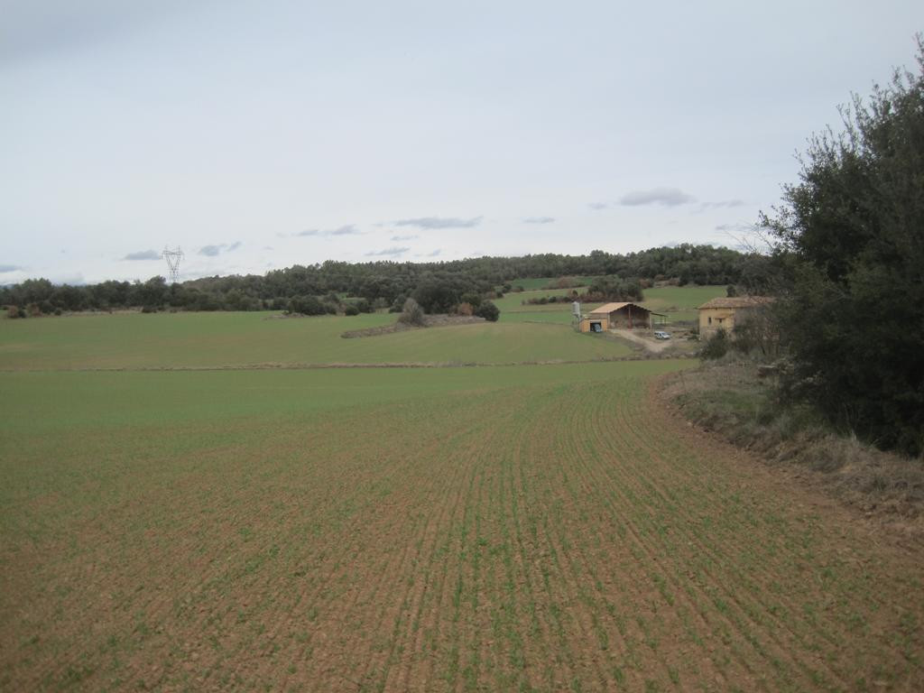 Norden; view north