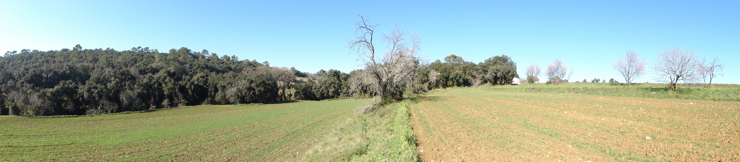 Panoramic view 