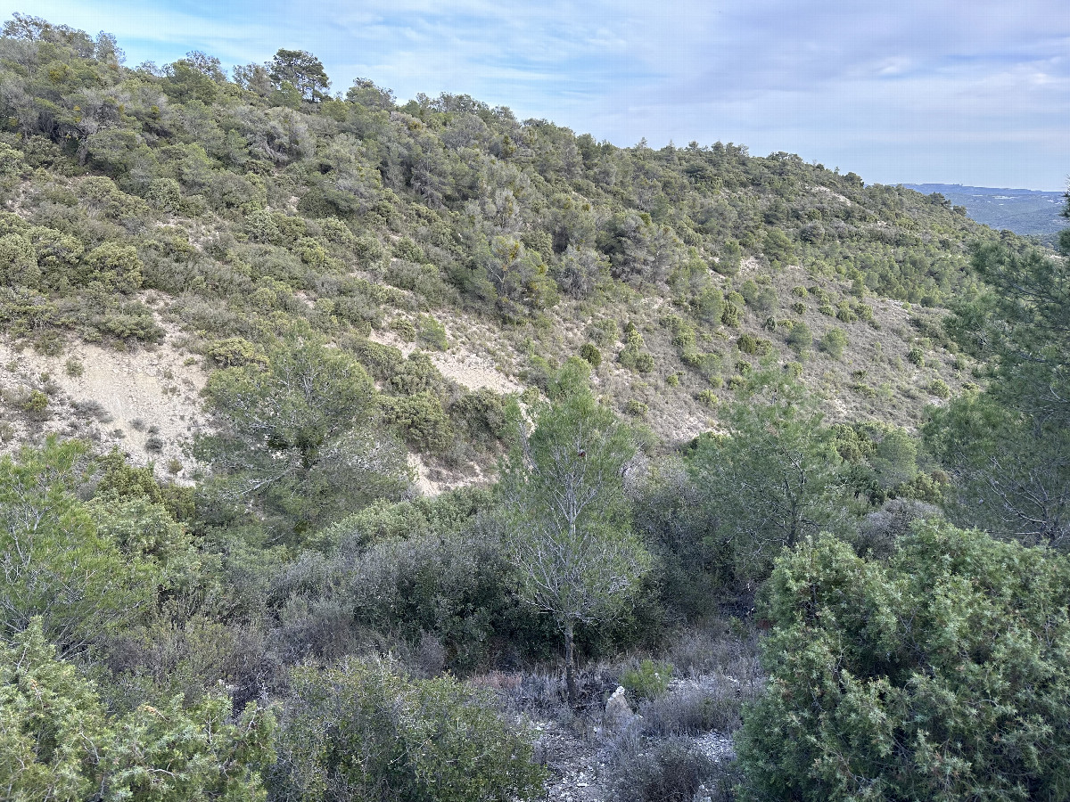 The Confluence from 20m Distance