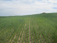 #3: Süden; view south