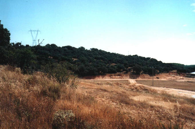 The confluence is between the trees in the center of the picture.