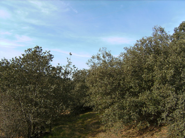 Blick nach Westen / View west