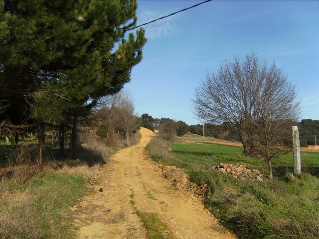 Fußweg bergauf / Track uphill