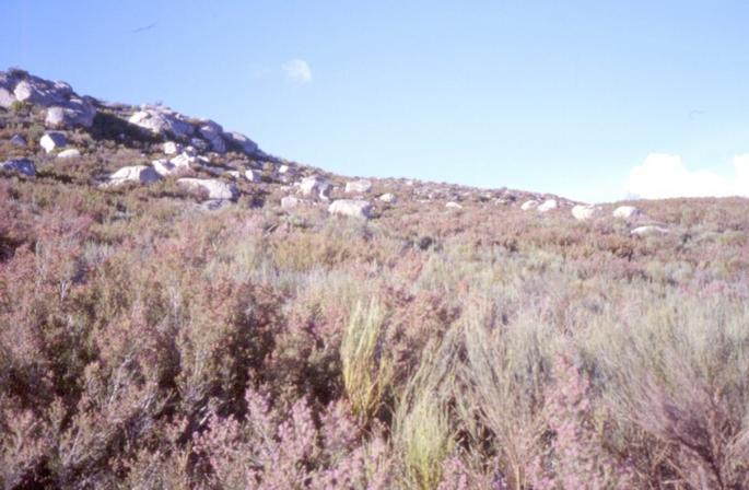 The confluence point facing in a northern direction