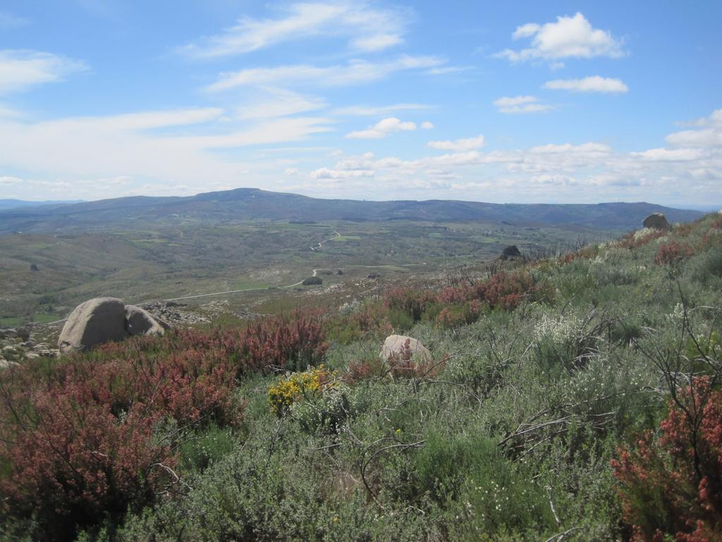 Süden; view south