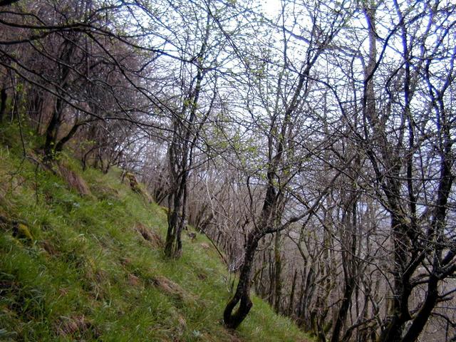 looking north - from whence we came