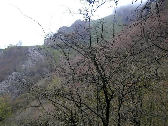 looking east across the valley