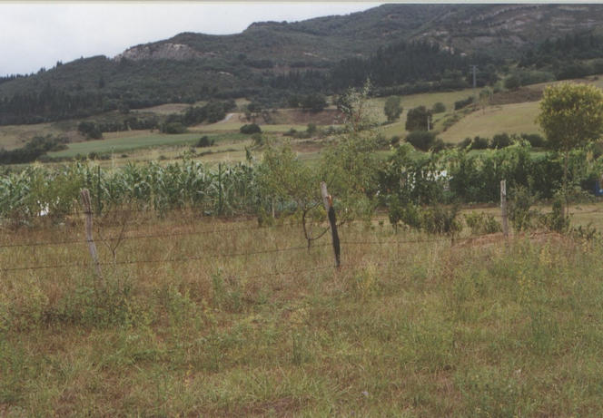 General view, the spot is 5 metres behind the umbrella