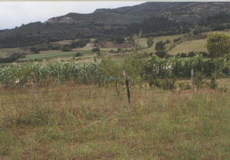 #1: General view, the spot is 5 metres behind the umbrella