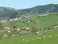 #7: Storks near the confluence point