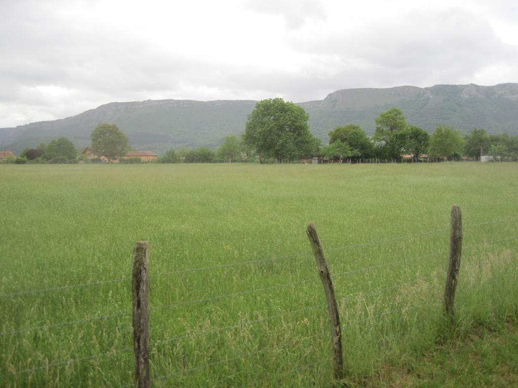 Süden; view south