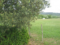 #2: Osten; view east