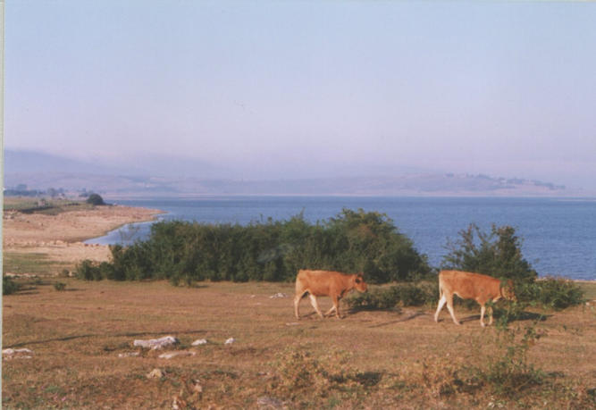 General view (the spot is in the water near the center of the photo)