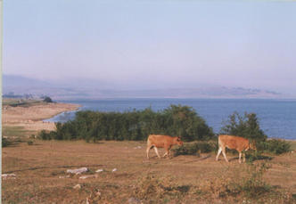 #1: General view (the spot is in the water near the center of the photo)