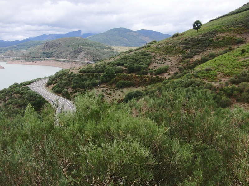 Overview - confluence in the middle of the shrub at the bottom of the picture