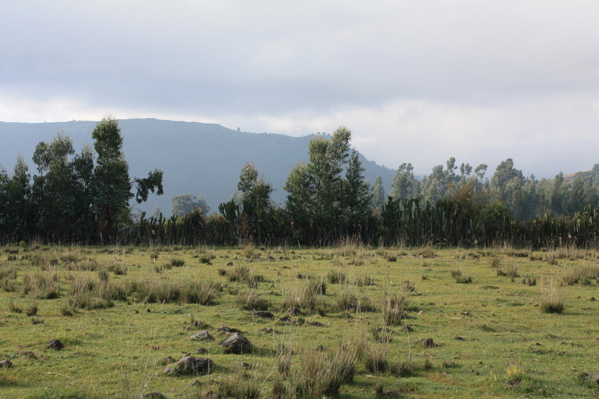 View from the Confluence towards the South