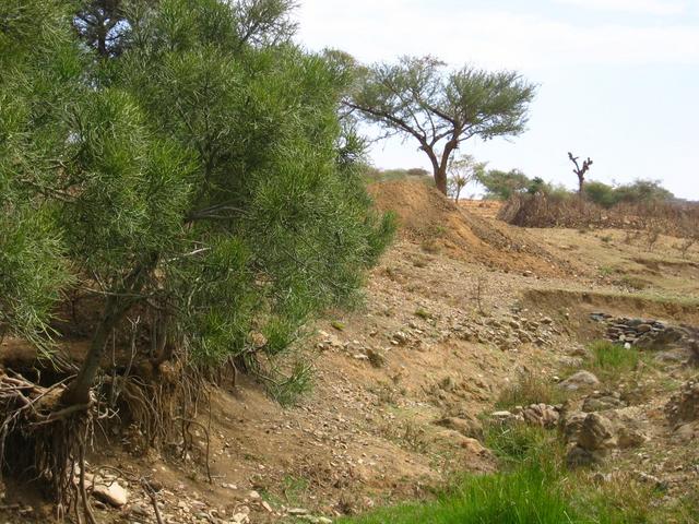 View to the Confluence Point from a distance of 93 m