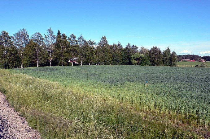 East of the confluence