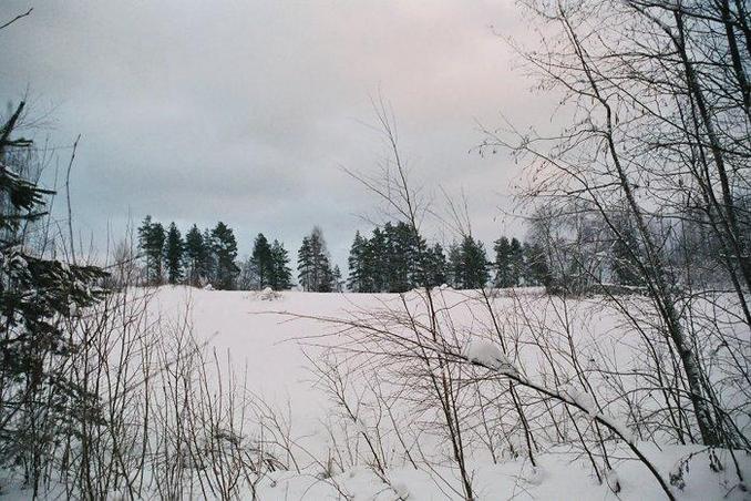 NE view, Ruuhijarvi lake is 200 m from here, behind the hill