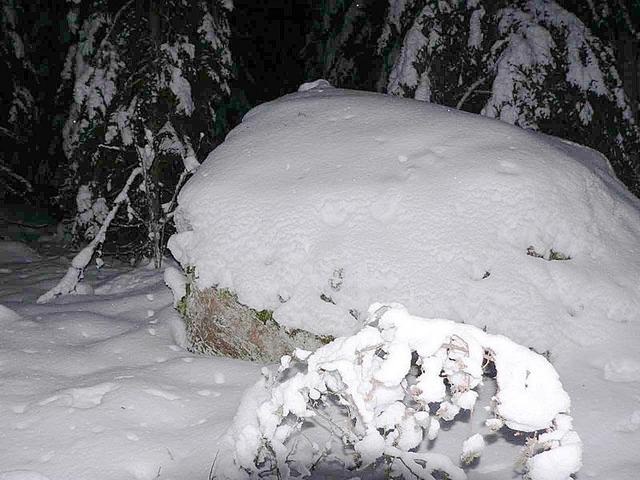 View to confluence snow-drift (to the east)