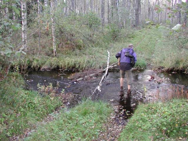 Fording the creek