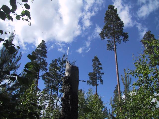 Down-up view of the confluence location