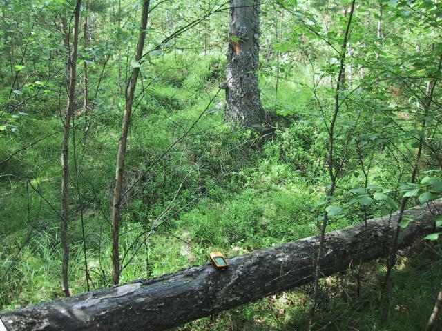 Up-down view of the confluence location