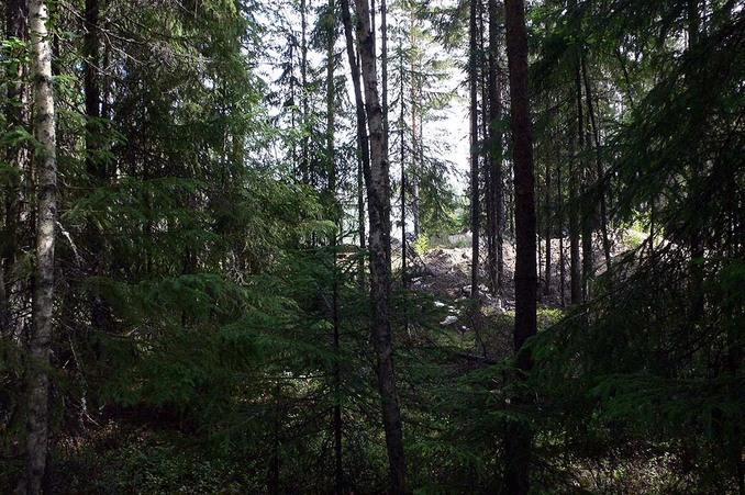 East of the confluence with the road leading to the spot