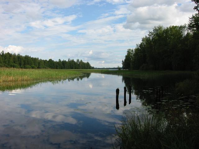 View to a Sulkavansalmi sound, connecting 2 lakes just 70m from 62°N 29°E