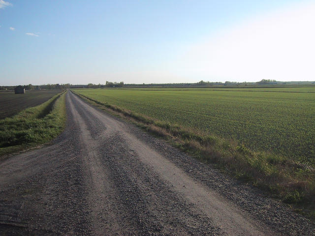 A field very near to the confluence point