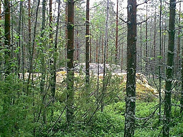 A view of the general confluence area.