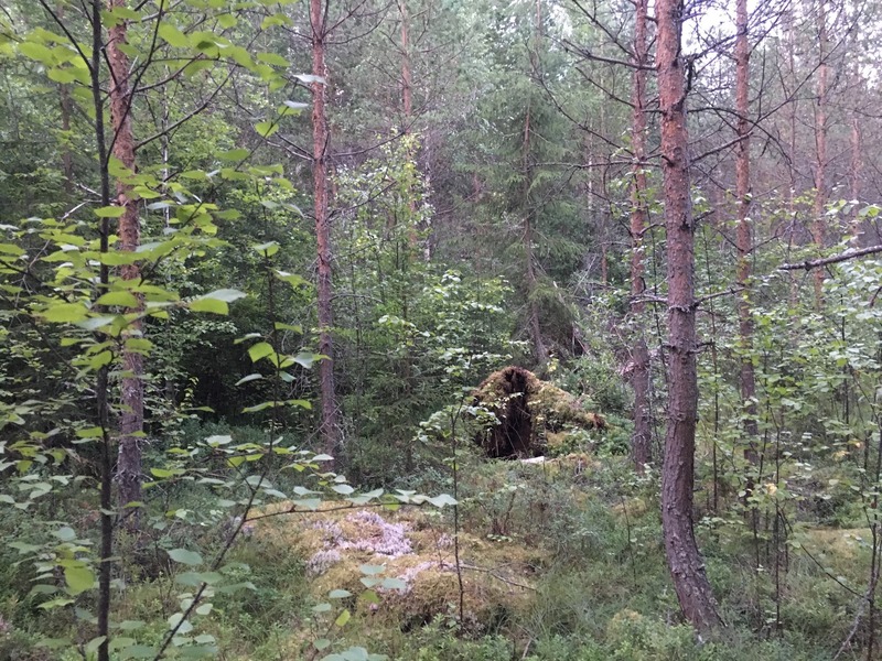 The Confluence from 15 m distance