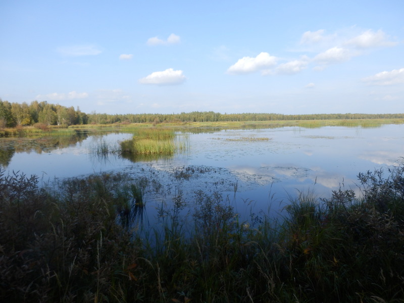 The Lake Vähä-Ruohonen in 400 m Distanc