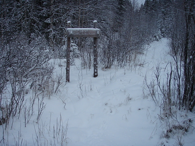 Hiking trail starting very near confluence