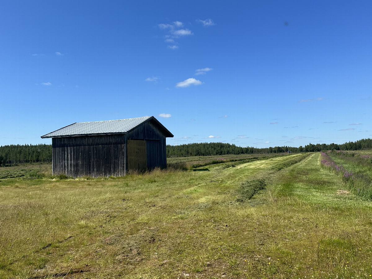 Field in 1 km Distance