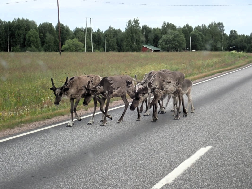 Group from Rehndears along the Way