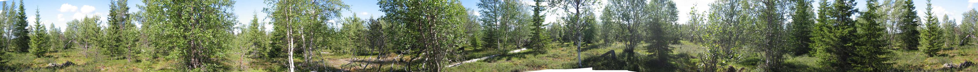 360 Deg photo of the confluence point N67E27