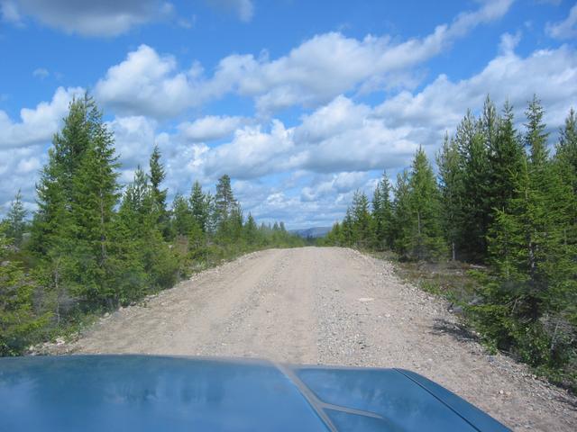 Fireroad on the pyhatunturi national park.