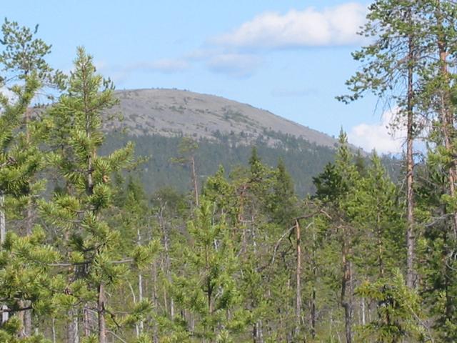 The Pyhatunturi mountain fell