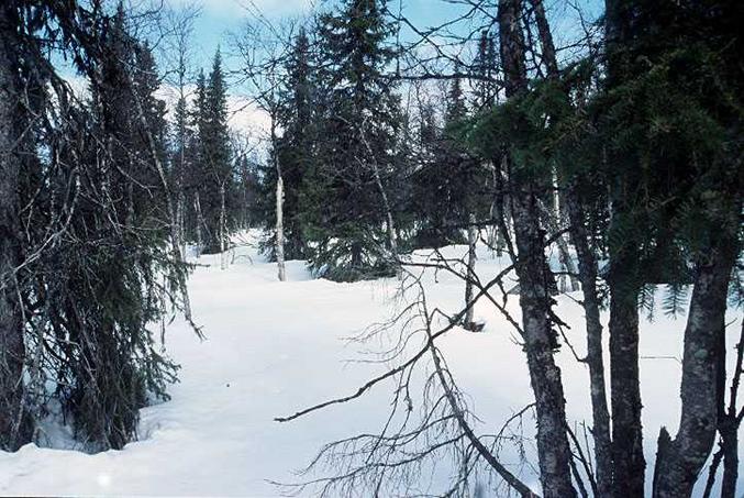 View to north from the confluence