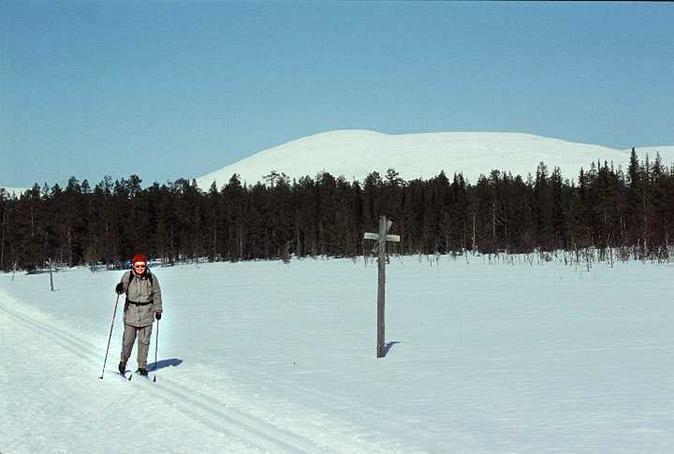 Ulla-Maija Harju on the skiing route from Pallas to Olos about 2 kilometers distance from the confluence.  At background peaks of Pallas-tunturi, 500m above.