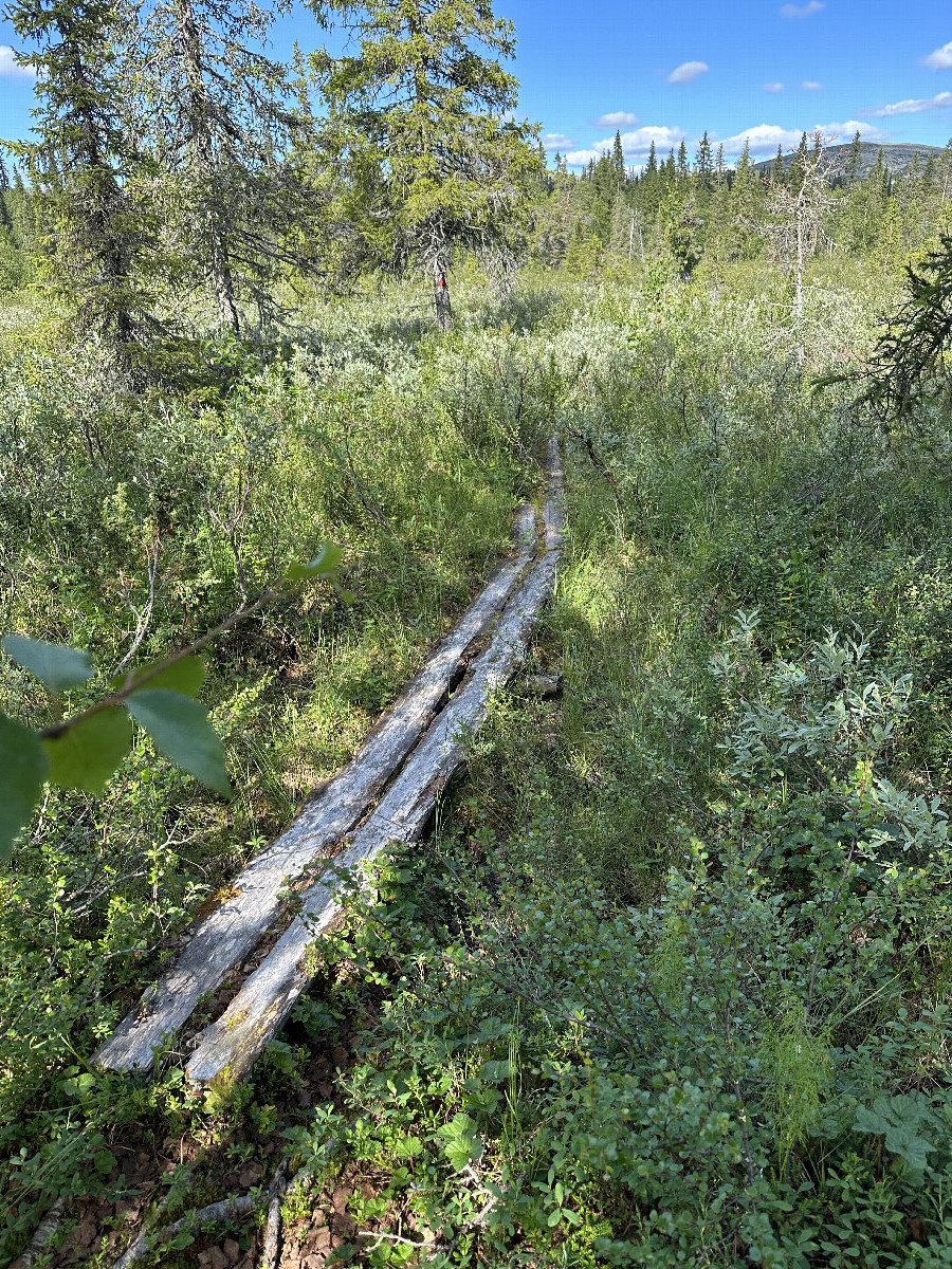 Decayed Track