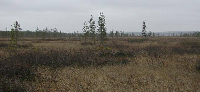 View East from confluence