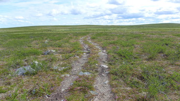 #1: On the ATV track, view east (20 km to the CP)