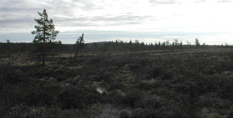 View East from confluence