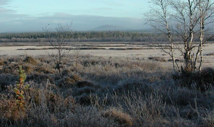 View over Kurtojänkä to confluence direction