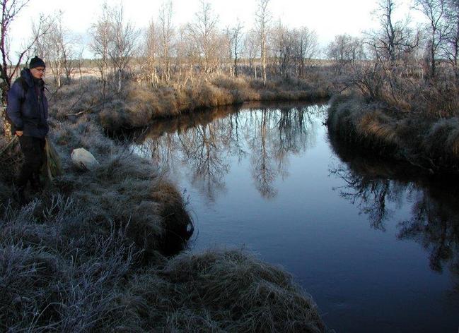 Kurtojoki river at morning