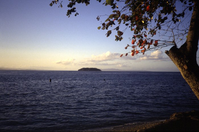 A little island just off the coast from the Date Line marker