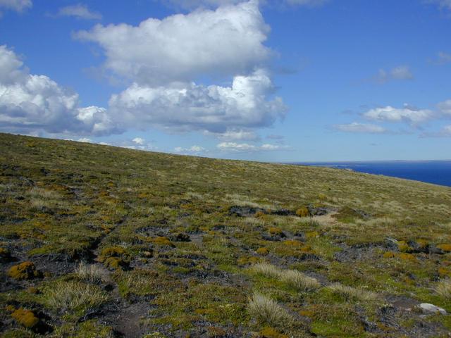 To the east one can see the peninsula that embraces Carcass Bay.